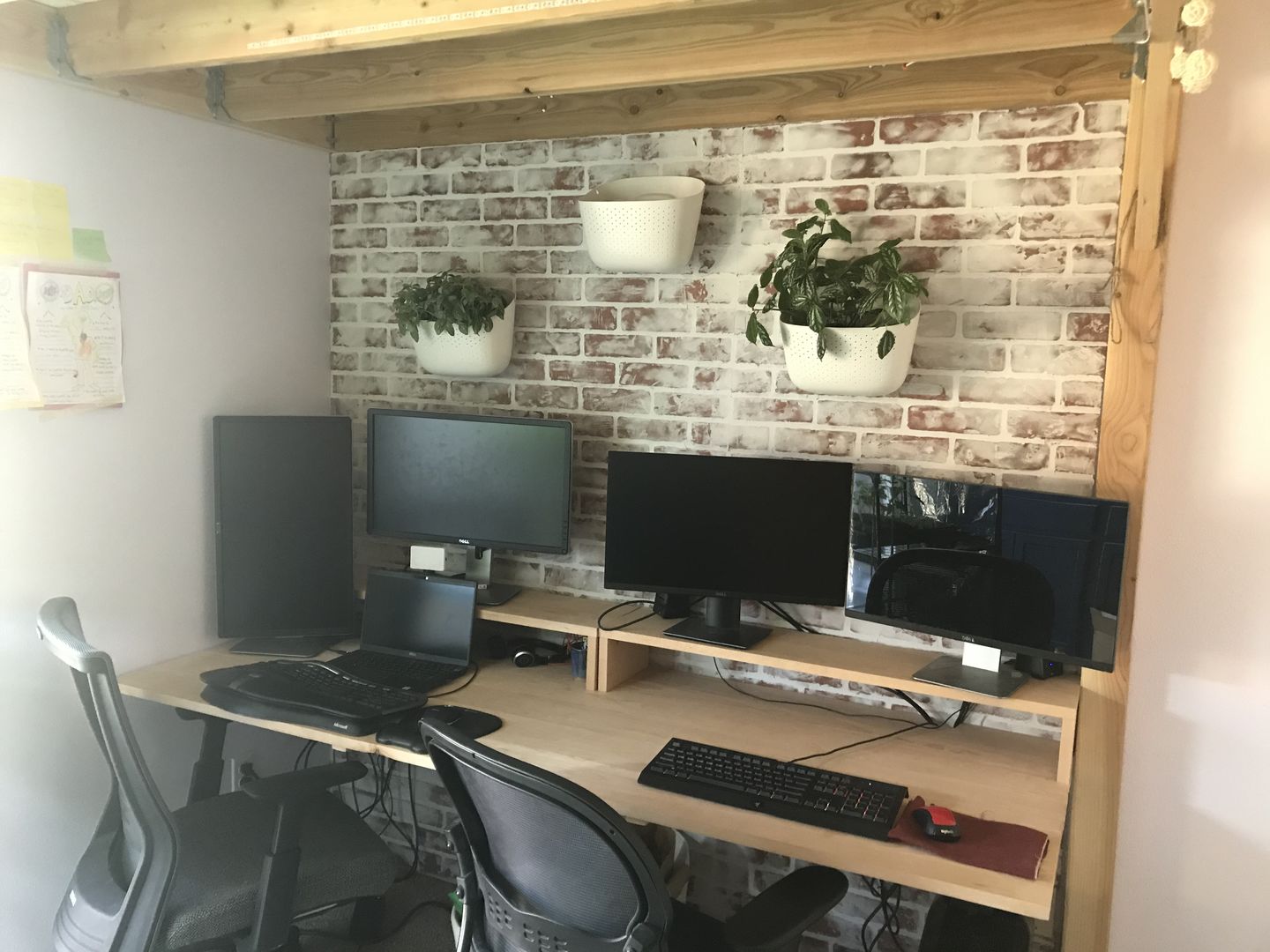 Customer photo review of Eco White Wall Planter