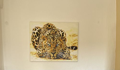 Customer photo review of Malen nach Zahlen - Leopard mit blauen Augen