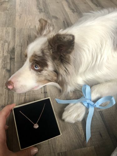 Customer photo review of Rosé Gold Dipped Lineart Love Halskette