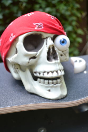 Customer photo review of Madrid Pro Series Snitch 32.5" Slant Harry Clarke Longboard