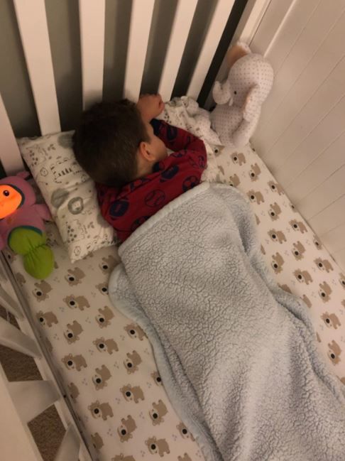 Customer photo review of Hypoallergenic Toddler Pillow with 100% Cotton Pillowcase