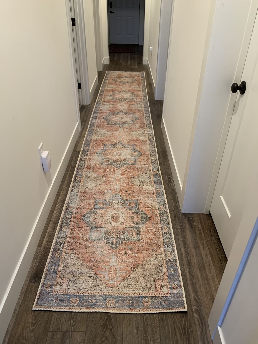 Customer photo review of Distressed Vintage Cezanne Terracotta Sky Runner
