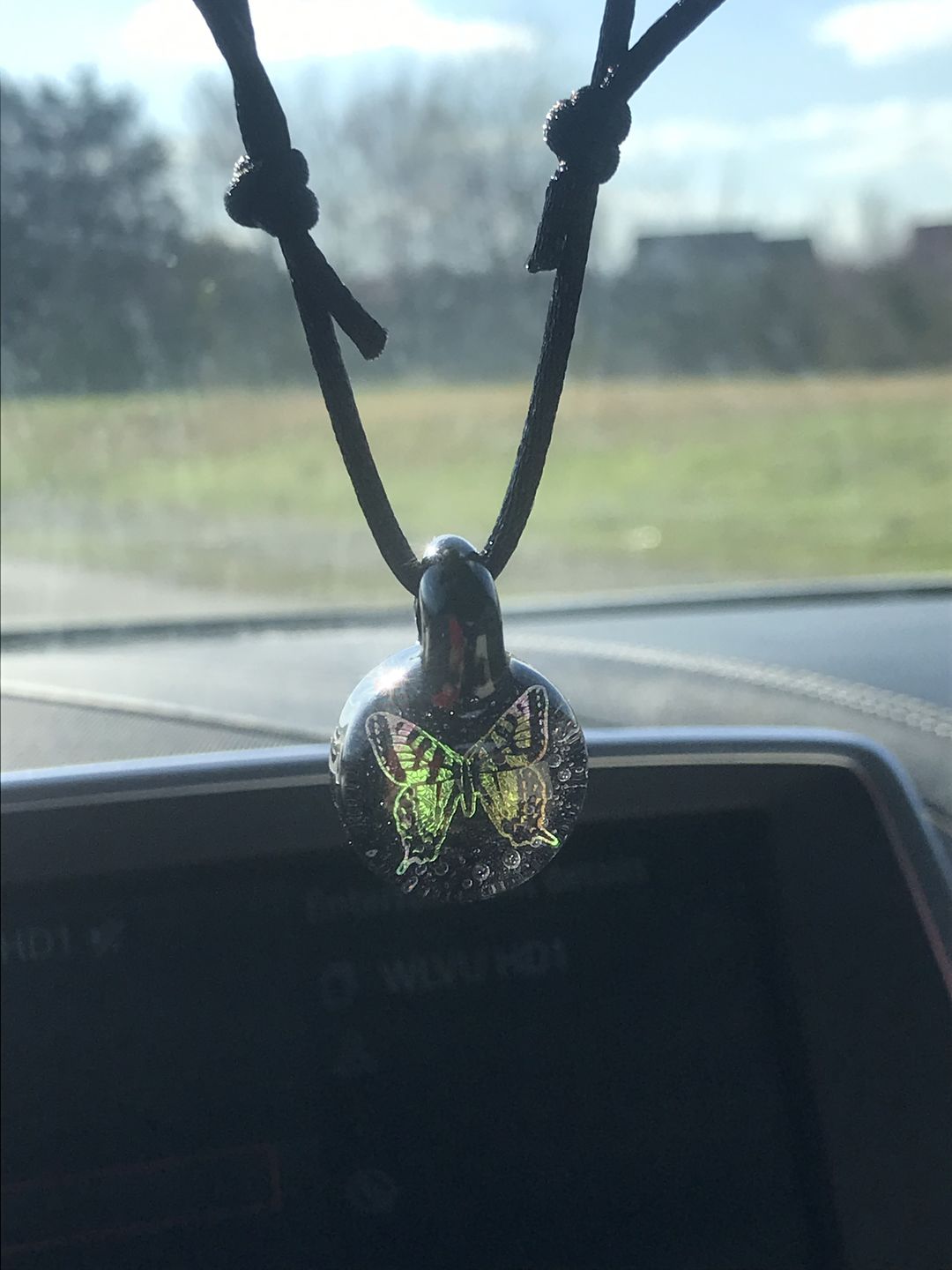 Customer photo review of Butterfly Hologram Pendant with Infused Cremation Ash