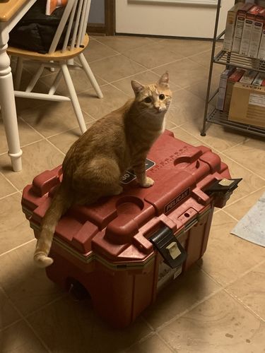 Customer photo review of Pelican™ 30QT Elite Cooler