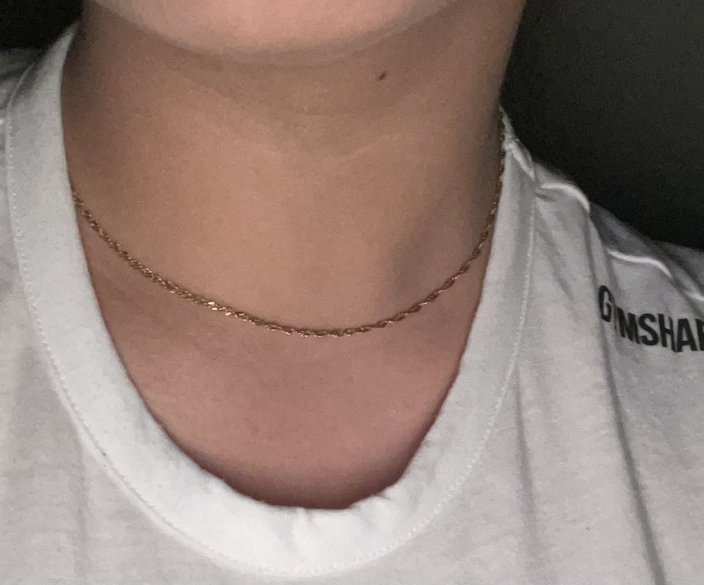 Customer photo review of Dainty Rope Chain