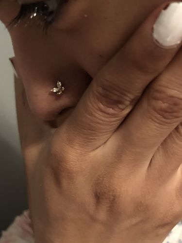 Customer photo review of Butterfly Surgical Steel L-Bend Nose Ring