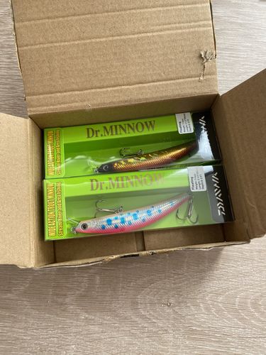 Customer photo review of DR. Minnow HOLO AKAKIN