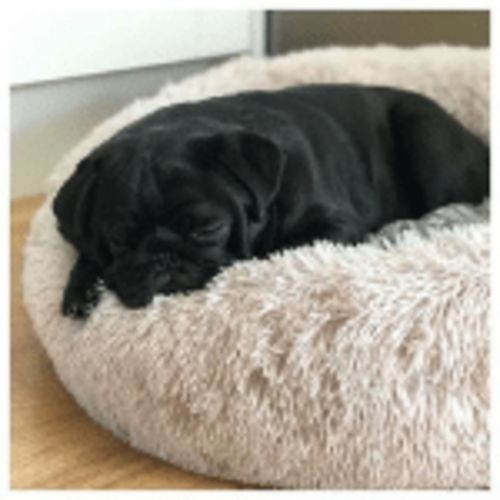Customer photo review of K9-Calmer™ Dog Bed
