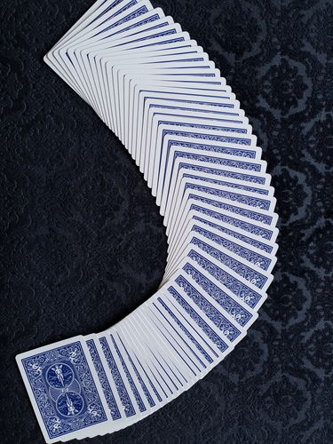 Customer photo review of LUXURY PAD BY TCC