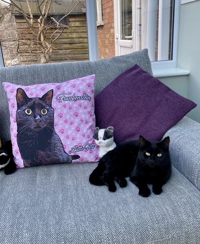 Customer photo review of RAFFLE - WIN Cushion Of Your Pet