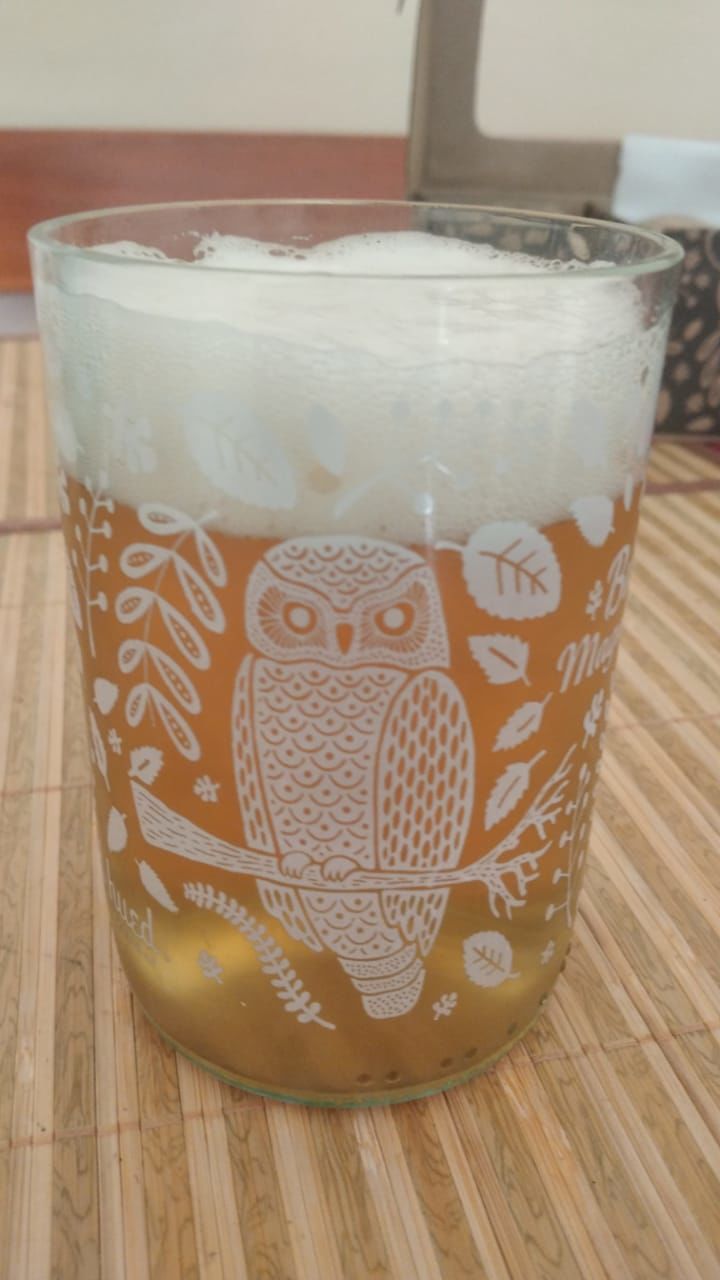 Customer photo review of Aves de Chile Juego de 4 Vasos