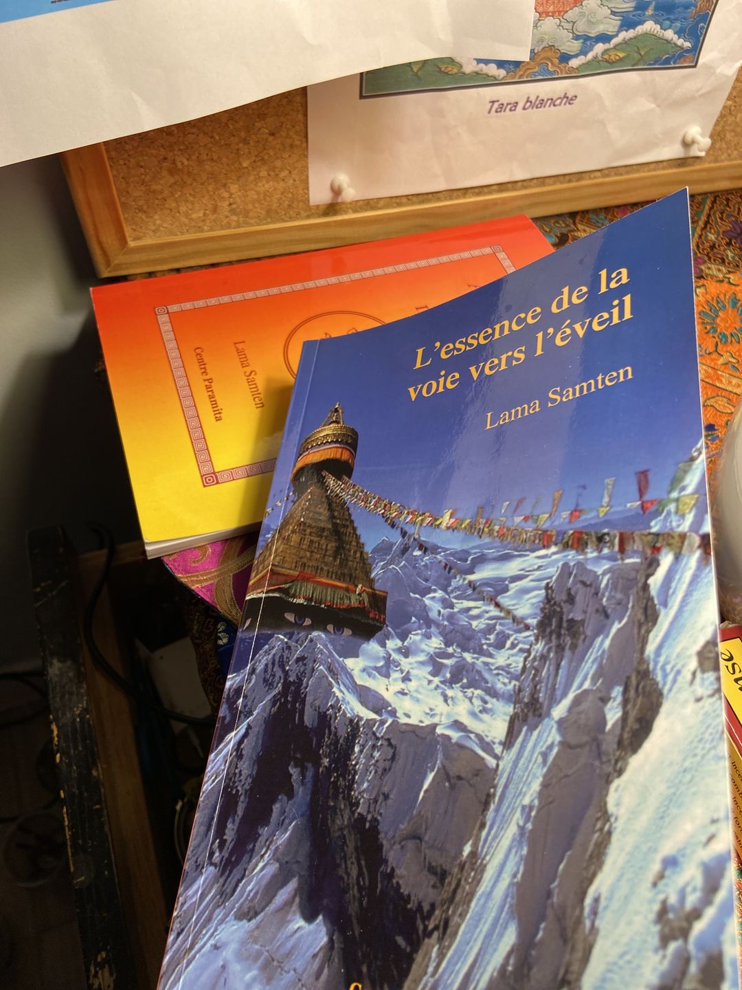 Customer photo review of Livre : Lamrim, L'Essence de la Voie vers l'Eveil de Lama Samten