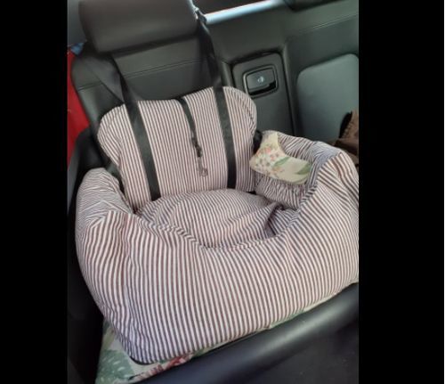 Customer photo review of Dog Car Calming Bed