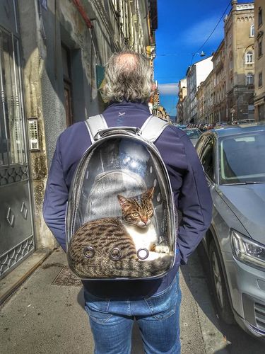 Sac A Dos Pour Chat Par My Animal With Me Sac A Dos De Transport Po