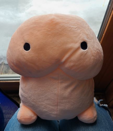 Customer photo review of PeePeePillow