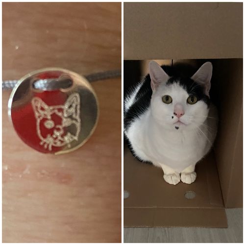 Customer photo review of Lineart Freundschaftsarmband