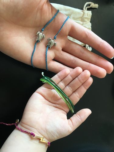 Customer photo review of Amazon Rainforest