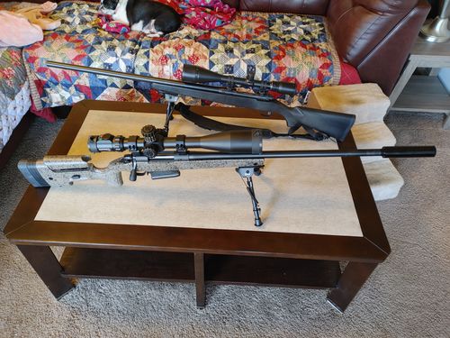 Customer photo review of Sniper KT 12-60X60 SAL Rifle Scope 35mm Tube Side Parallax Adjustment Glass Etched Reticle Red Green Illuminated with Scope Rings