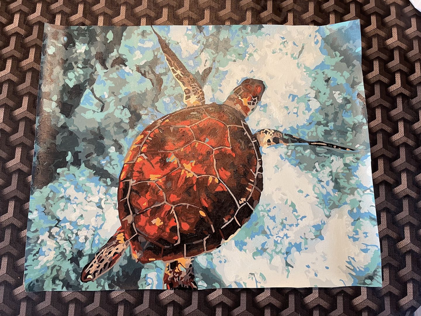 Customer photo review of SEA TURTLE