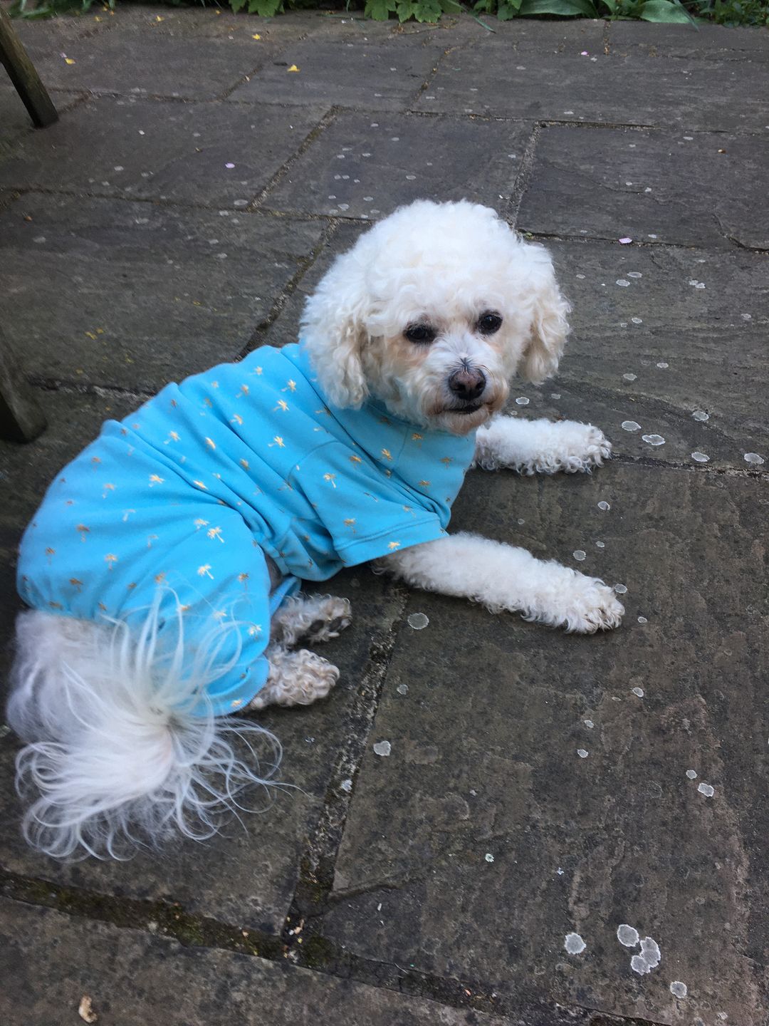 Customer photo review of Handmade Cotton Pajamas - Gold Palm Trees