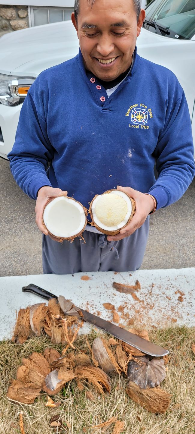 Customer photo review of Sprouted Coconut Box