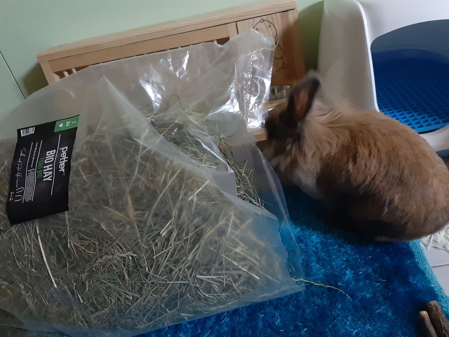 Customer photo review of Feno BIO by petter® (Mais opções disponiveis)
