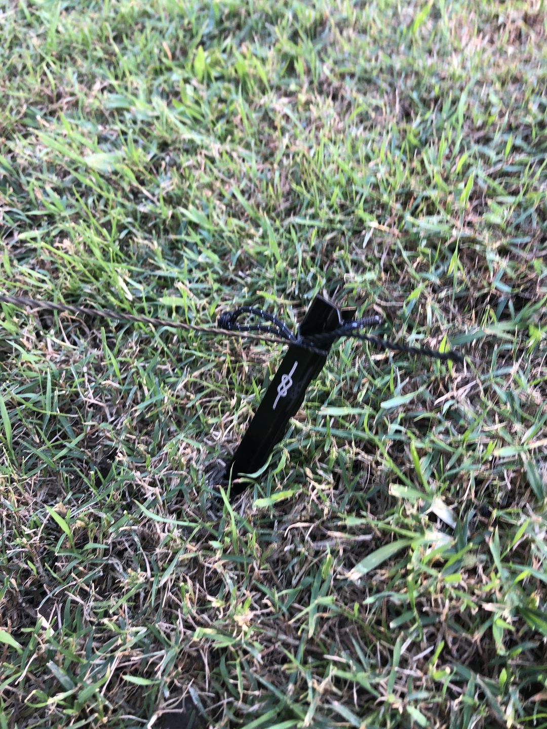 Customer photo review of Ultralight Aluminium Pegs (8 Pack)