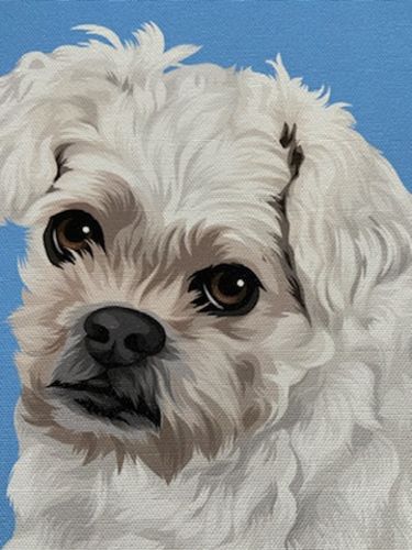 Customer photo review of Premium Pet Portrait Canvas