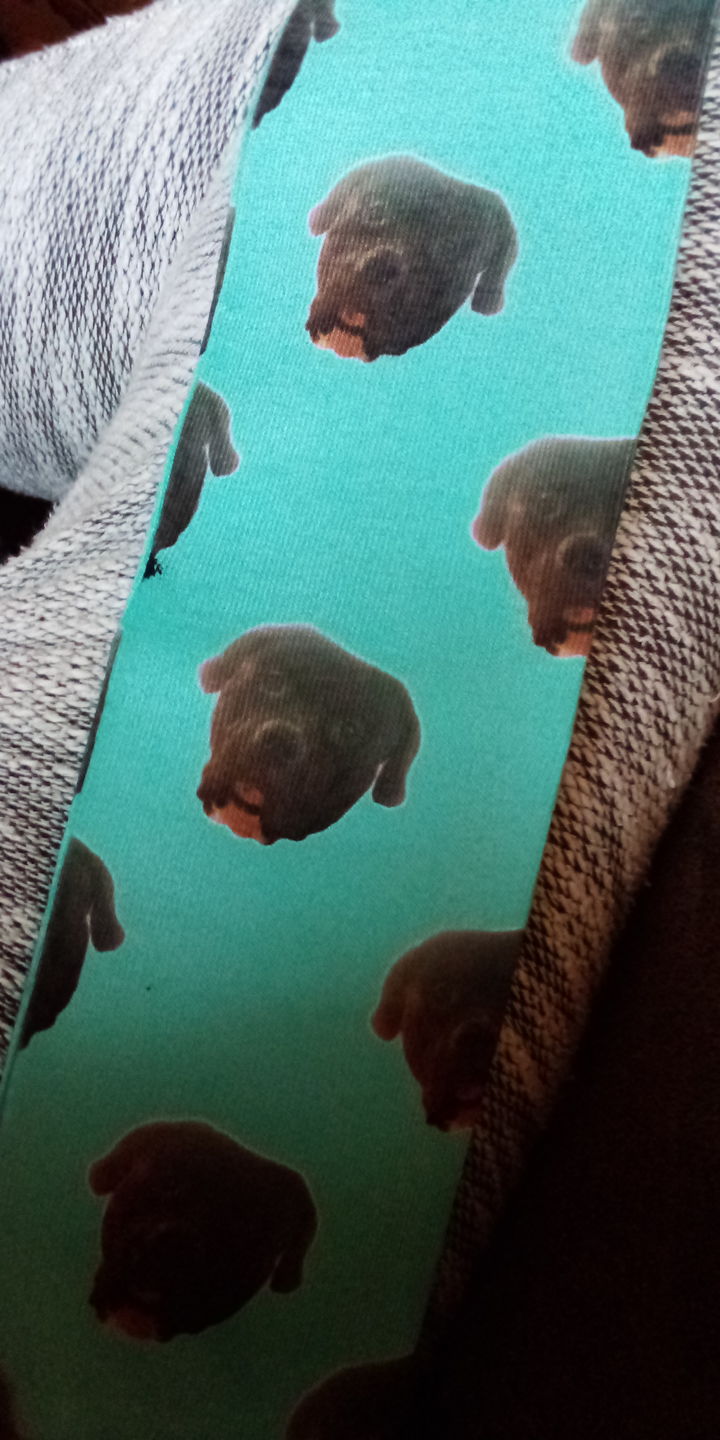 Customer photo review of Socks - add on