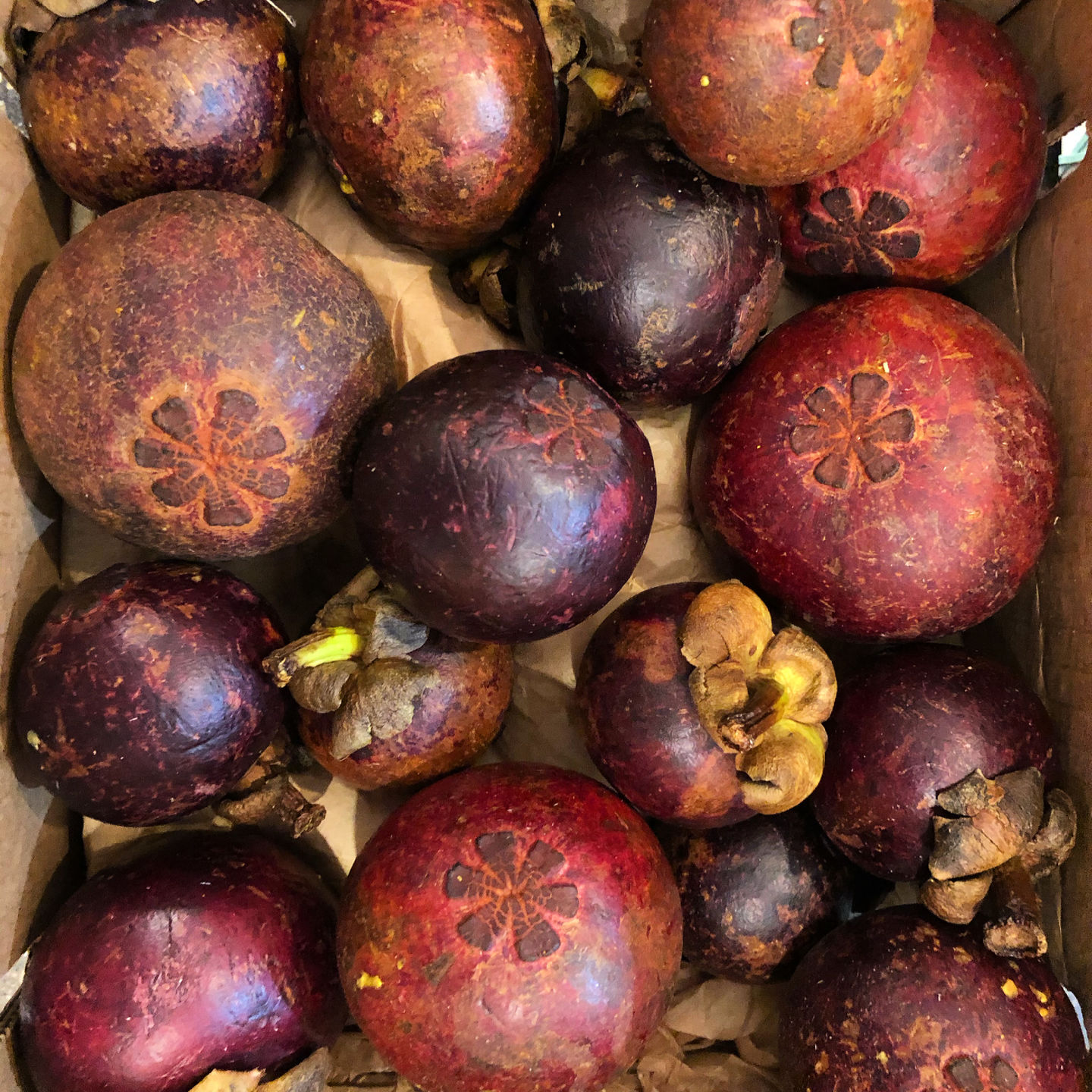 Customer photo review of Mangosteen