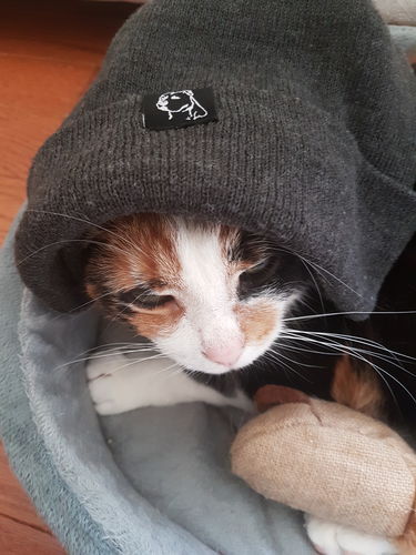 Customer photo review of FRANK JR. WINTER TOQUE