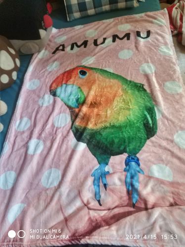 Customer photo review of 【客製】手繪寵物 法蘭絨毛毯 Custom Pet Fleece Blanket