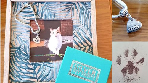 Customer photo review of Paw Print Bracelet - Snake Chain