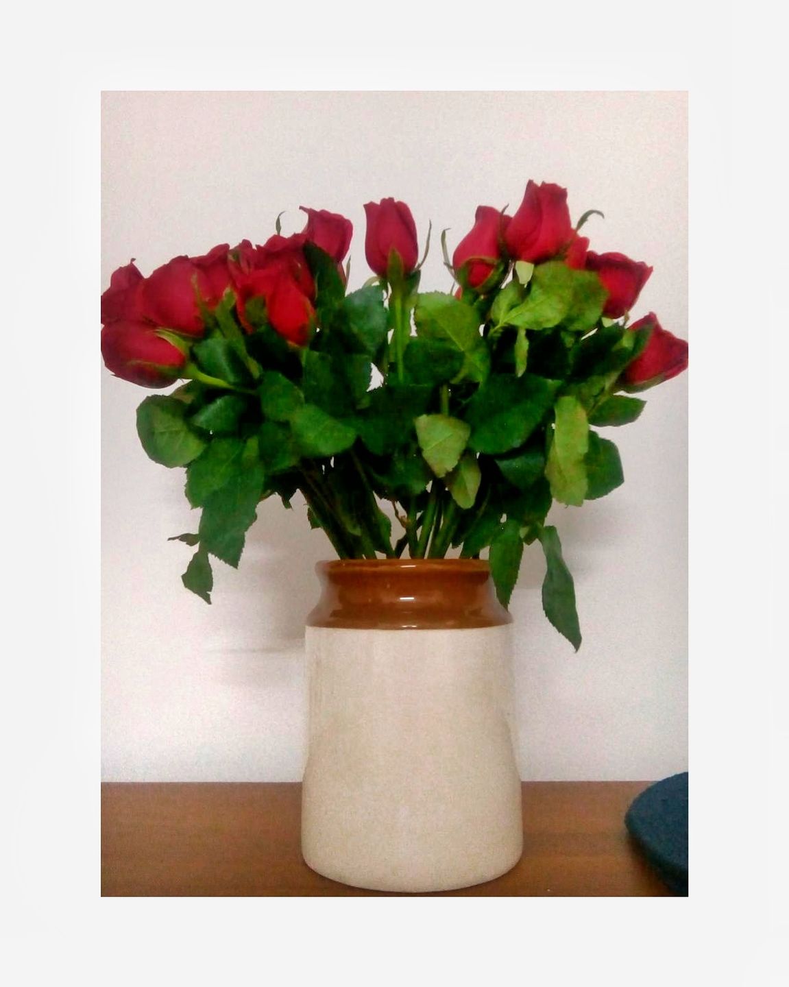 Customer photo review of Roses