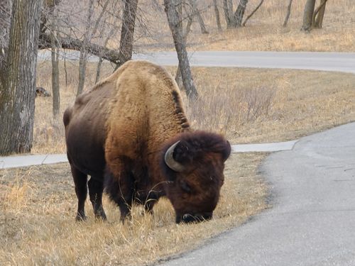 Customer photo review of LITE SUMMER FOREVER FAT BURNER  + Detox tea