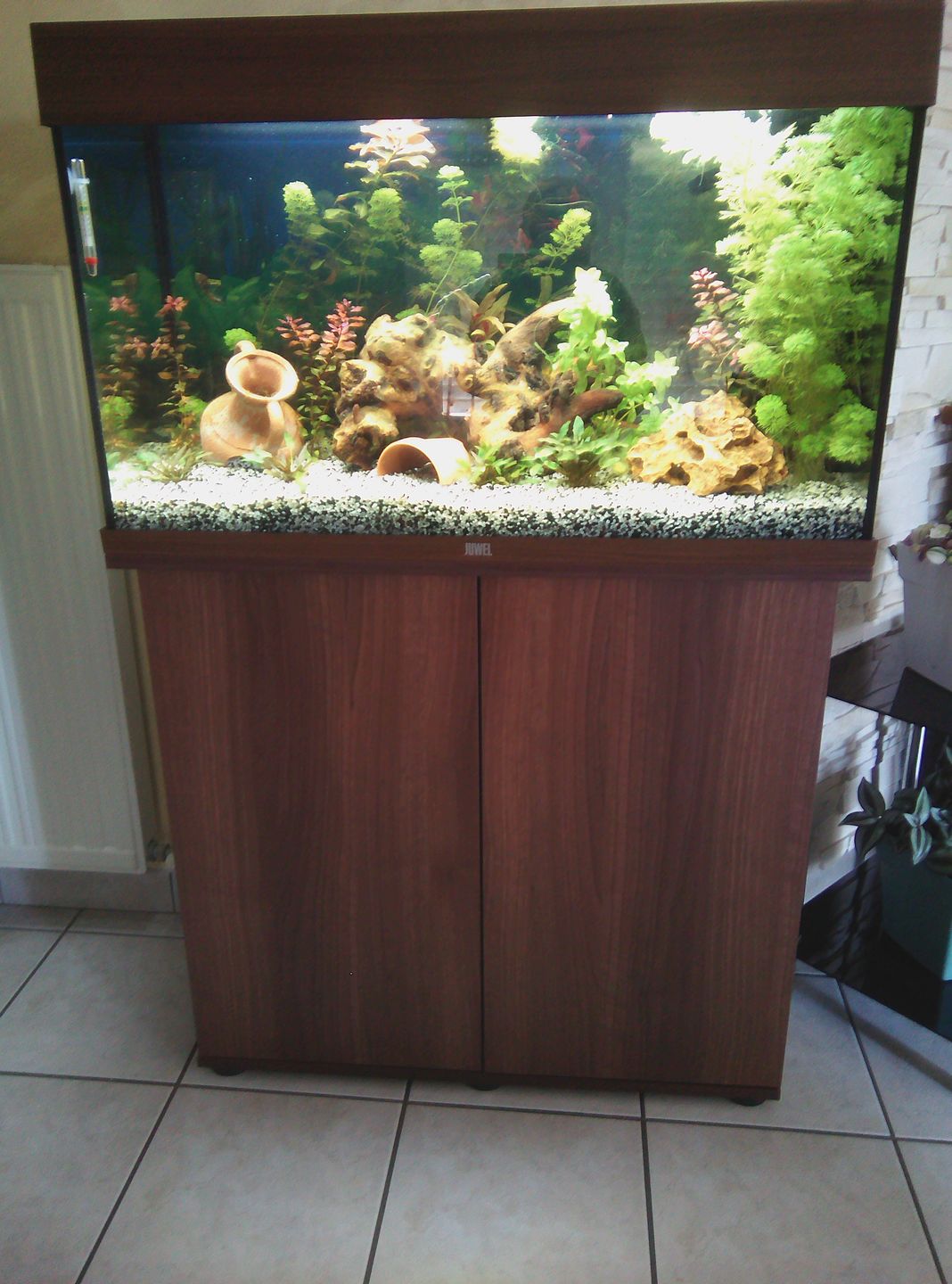 Customer photo review of Aquarium Rio 125 LED Brun Équipé JUWEL - 125L