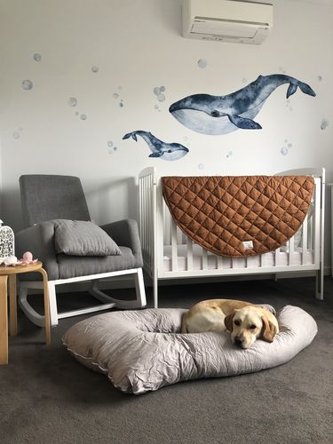 Customer photo review of Whales & Bubbles Decal Set