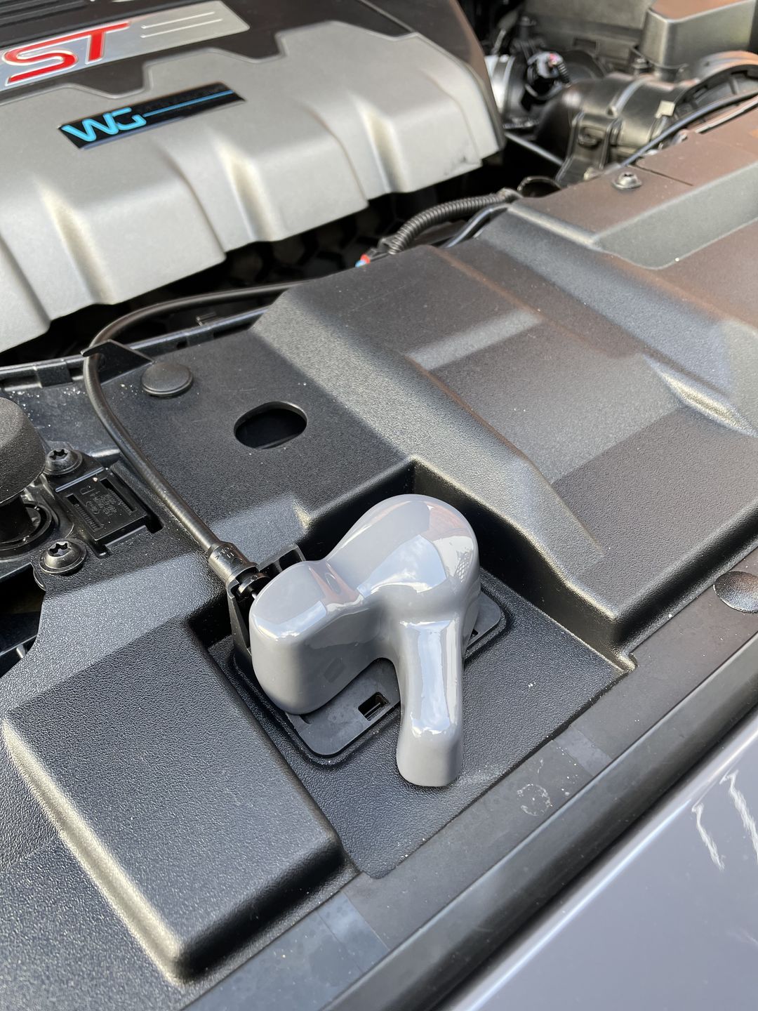 Customer photo review of Proform Bonnet Catch Cover (Painted/Hydrodipped) - MK3/ 3.5 Focus