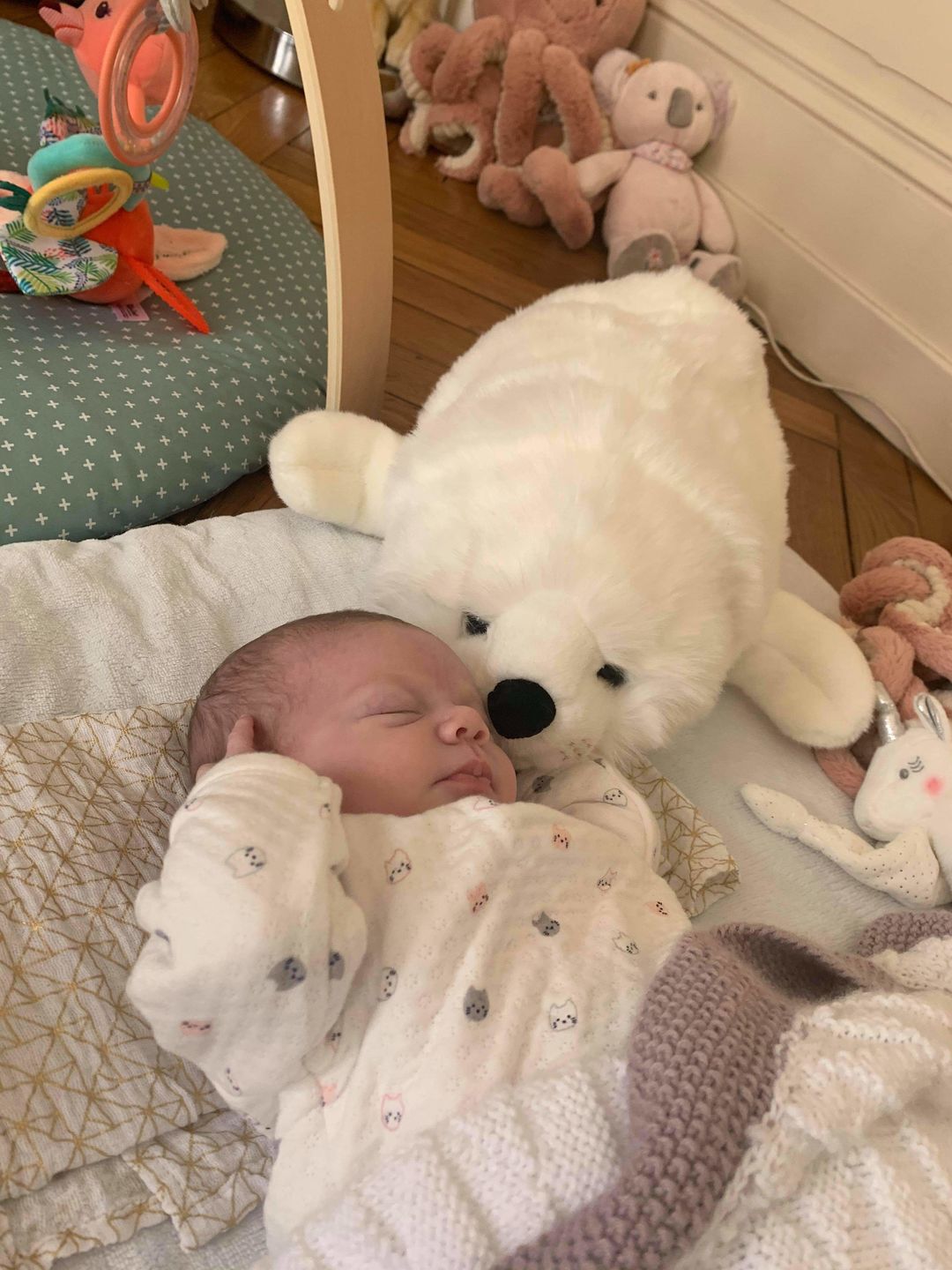 Customer photo review of Ma peluche Phoque Arsène
