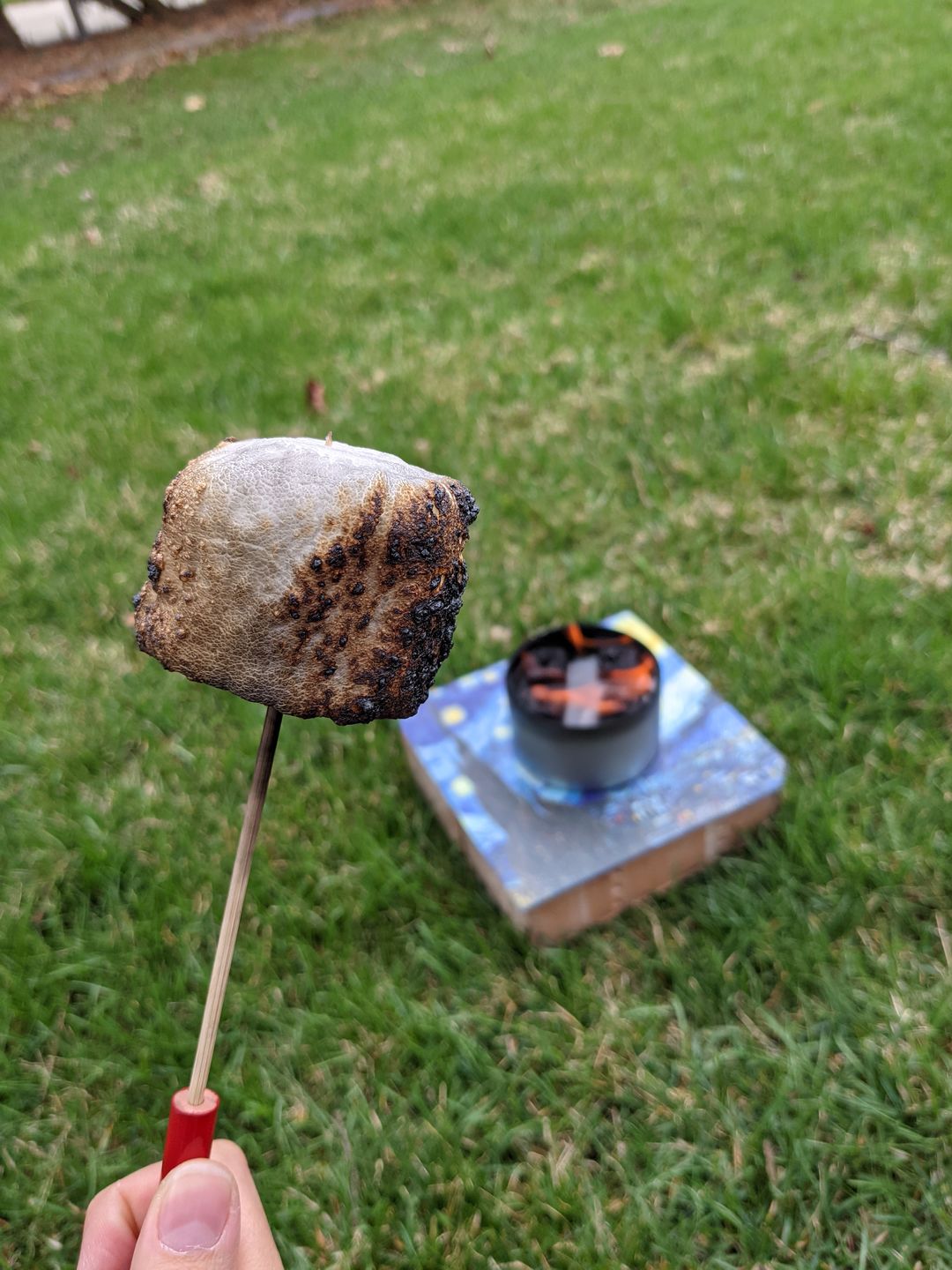 Customer photo review of Portable Reusable Skewer 4 Pack