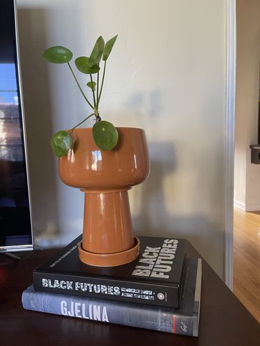 Customer photo review of Kaya 3-Piece Ceramic Planter by Justina Blakeney®