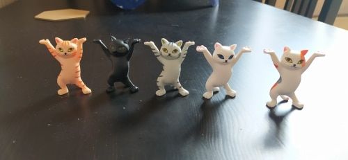 Customer photo review of Mochi Cat Holder(Pack of 5)