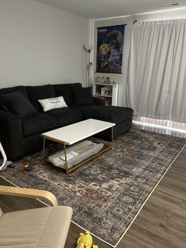 Customer photo review of Distressed Vintage Cezanne Rabbit Gray Inca Gold Area Rug