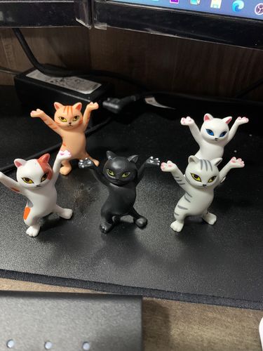 Customer photo review of Mochi Cat Holder(Pack of 5)