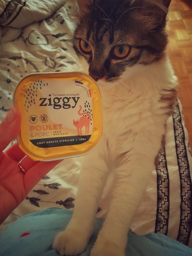 Avis photo d'un client sur Pâtée Chat Stérilisé Sans Céréales - Saumon