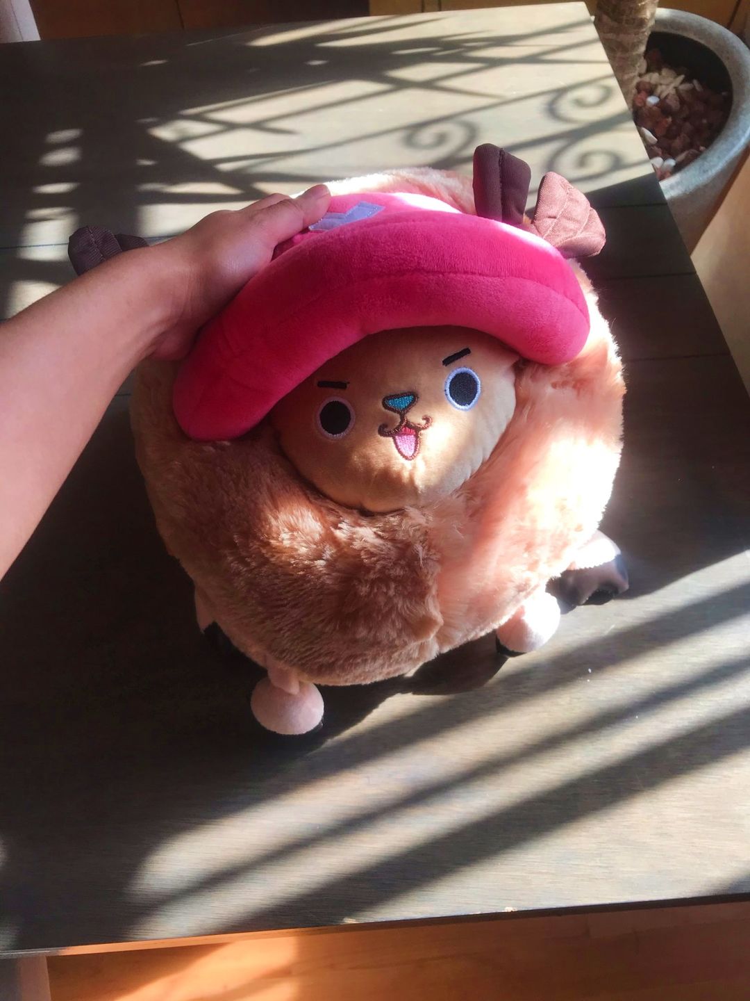 Customer photo review of Chopper Guard Point - Plush Doll