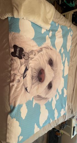Customer photo review of Custom Pet Stickers