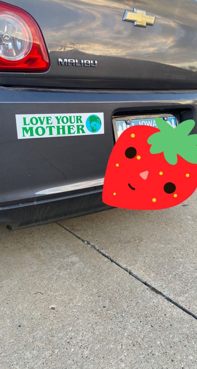 Customer photo review of Love Your Mother Bumper Sticker