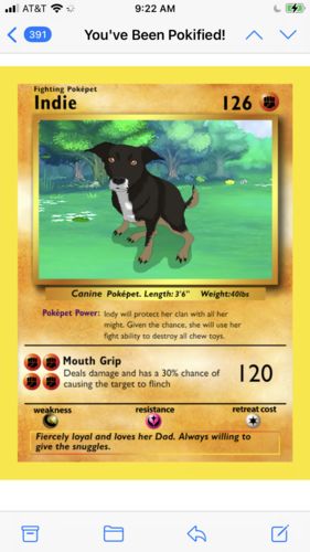 Customer photo review of Pokepet