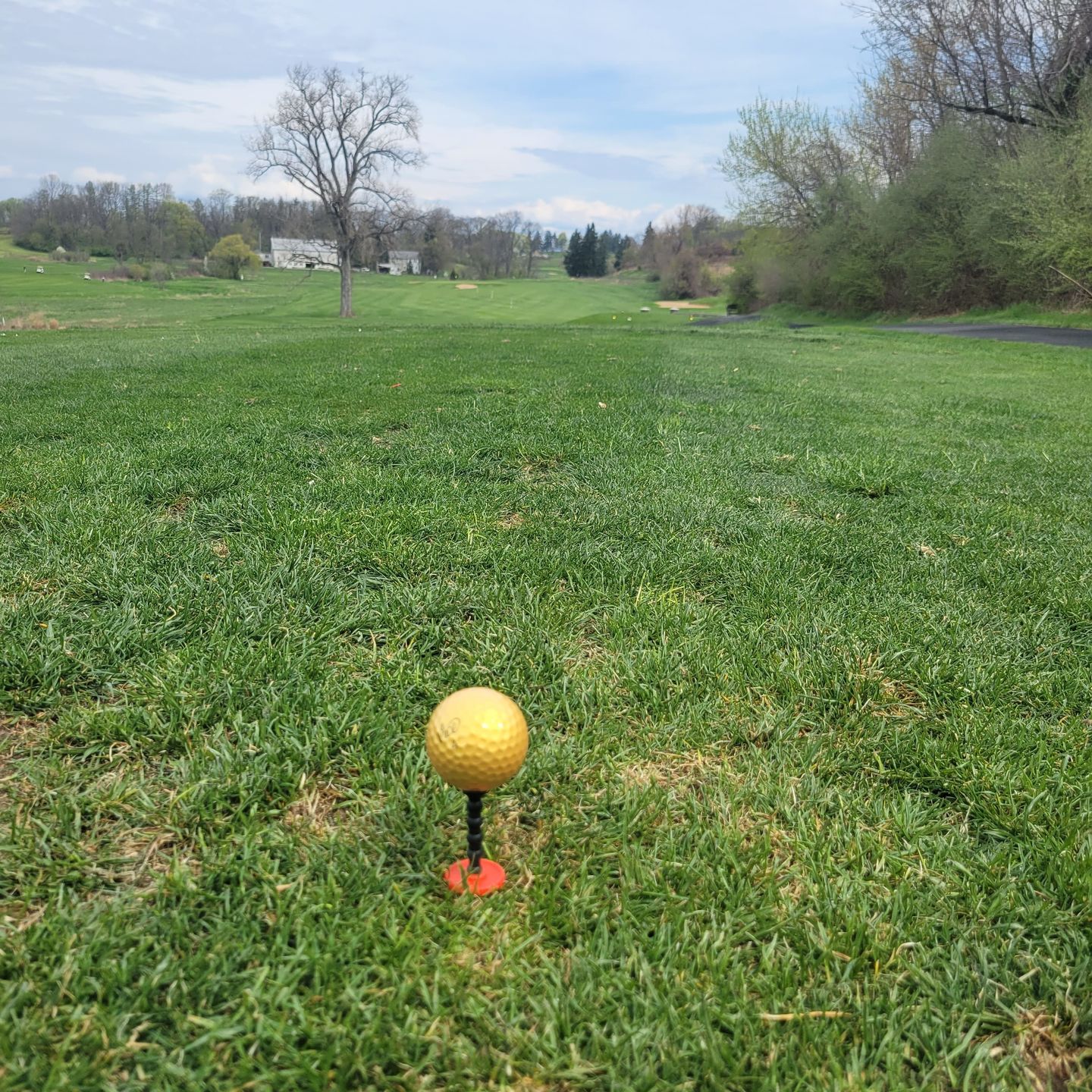 Customer photo review of Telos Premium Golf Tees